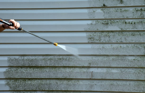 Best Attic Mold Removal  in St Gabriel, LA
