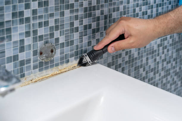 Best Same-Day Mold Removal  in St Gabriel, LA