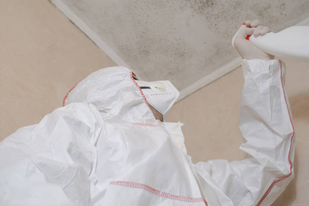 Best Toxic Mold Removal  in St Gabriel, LA